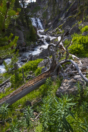 Mystic Falls Yellowstone National Park Summer Dayの写真素材