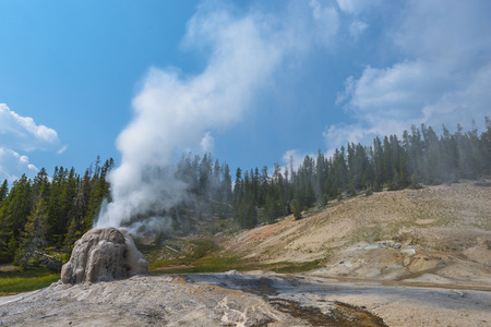Lone Star Geyser during eruption Yellowstone National Parkの写真素材
