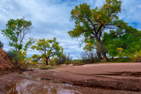 Muddy Creek and Autumn Foliage - Utah Fall Landscapeの写真素材