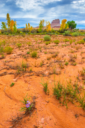 Wild Horse Butte Near Goblin Valley State Park Utahの写真素材