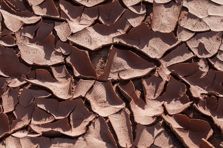 Close-up texture of a dry bottom of a lake in Utahの写真素材