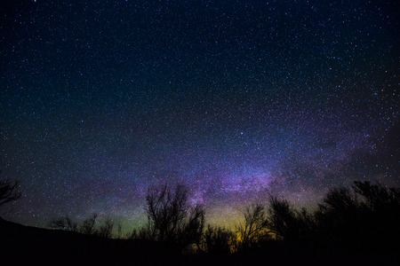 Milkyway rising over the trees - Night Landscapes