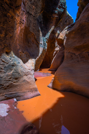 Beautiful Narrow Slot Canyon filled with water Capitol Reef National Parkの写真素材
