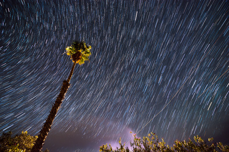 Single Palm Tree agains Beautiful Clear Bright Starry Night Sky Tropical Destination Scenicsの写真素材