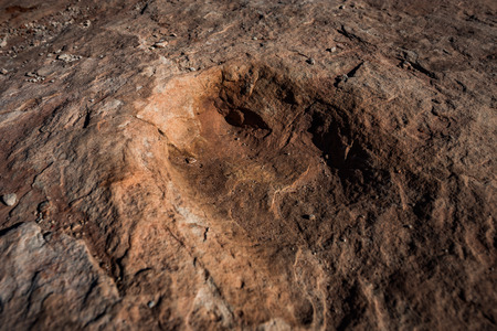 Dinosaur Tracks in the sandstone Utah USAの写真素材