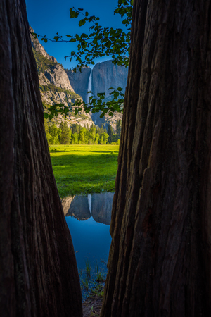 Yosemite Falls reflection in Merced River at Sunrise National Park, California Natural Framingの写真素材