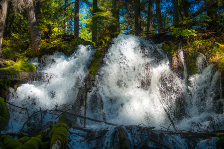Clearwater Falls Douglas County, Oregonの写真素材