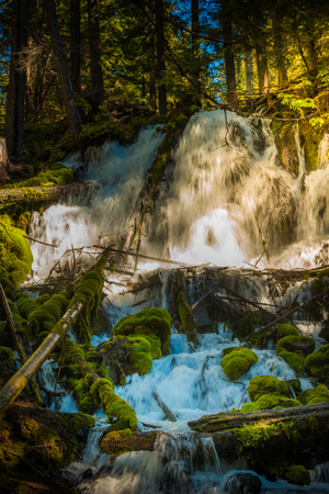 Clearwater Falls Douglas County, Oregonの写真素材