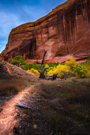 Coyote Gulch Fall Colors Grand Staircase Escalante Utah USAの写真素材