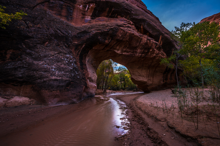 Coyote Natural Bridge Glen Canyon National Recreation Area Utah USAの写真素材