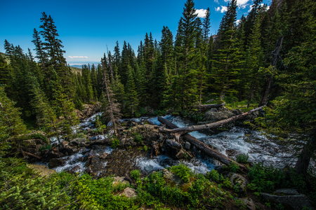 East Fork Dallas Creek Mt. Sneffels Wilderness area near Blue Lakes Trailの写真素材