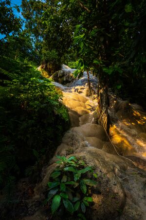 Bua Tong Sticky waterfall Chiang Mai Thailandの写真素材