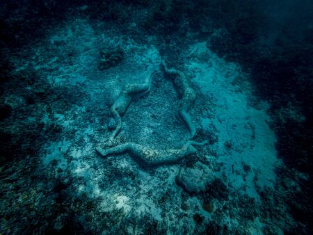 Beautiful underwater view of sculpture at bottom of the sea in Gili Meno Indonesiaの写真素材