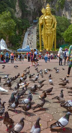 Kuala Lumpur, Malaysia. May 01, 2018: Flock of pigeons in front of The Lord Murugan the largest statue of a Hindu Deity in Malaysia at the entrance to Batu Caves.のeditorial素材