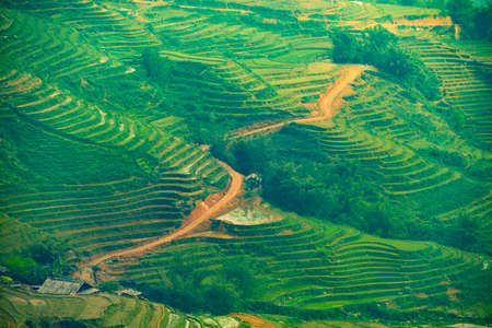 Sa Pa Vietnam Rice terraces in the Hoang Lien Son Mountainsの写真素材