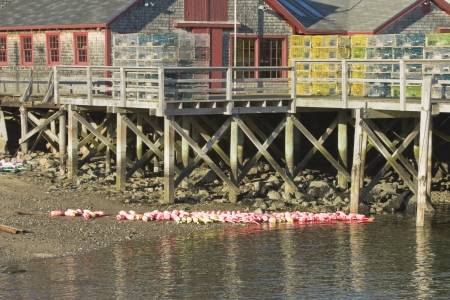 waterfront pier at low tide in Tenants Harbor Maineの写真素材