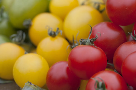 Vegetableの写真素材