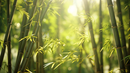 A vibrant cluster of bamboo plants up closeの素材