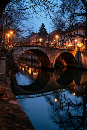 Night view of the old bridge over the Vltava river in Prague, Czech Republicの素材