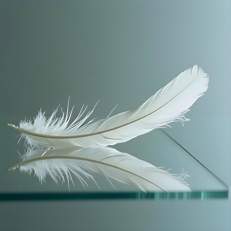 a white feather resting on a glass surfaceの素材