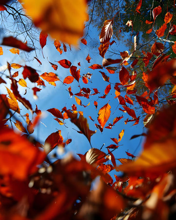 a bunch of leaves that are flying in the airの素材