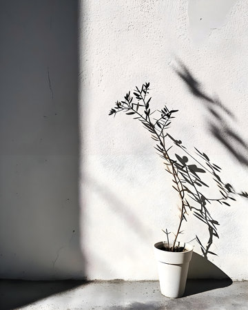 a small plant in a white pot on the groundの素材