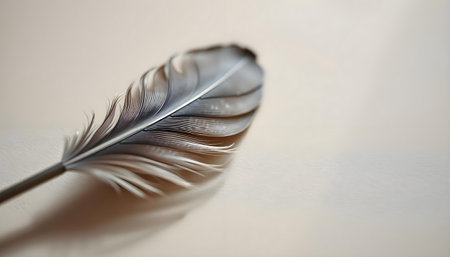 a close up of a feather on a tableの素材