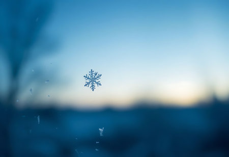 snowflake is seen through a windowの素材
