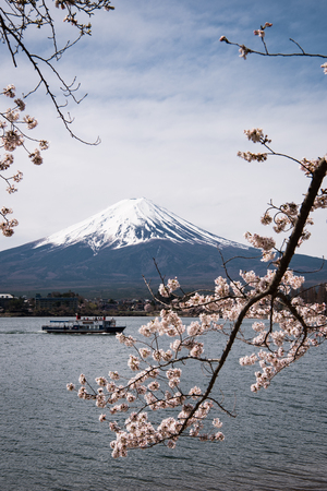Mt. Fuji over Lake Kawaguchi and Cherry Blossomsのeditorial素材