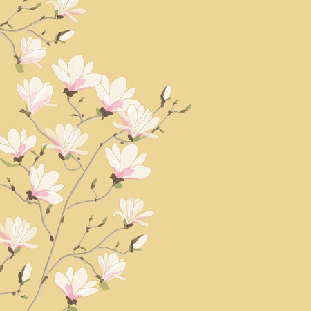 Vector background illustration of Magnoliaのイラスト素材
