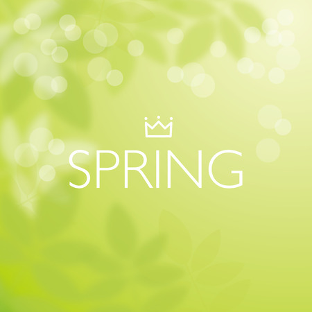 Vector Illustration of green blurred backgroundのイラスト素材