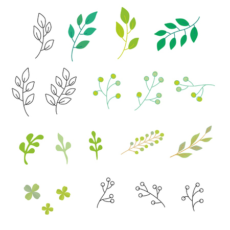 Set of green leaves illustrationのイラスト素材