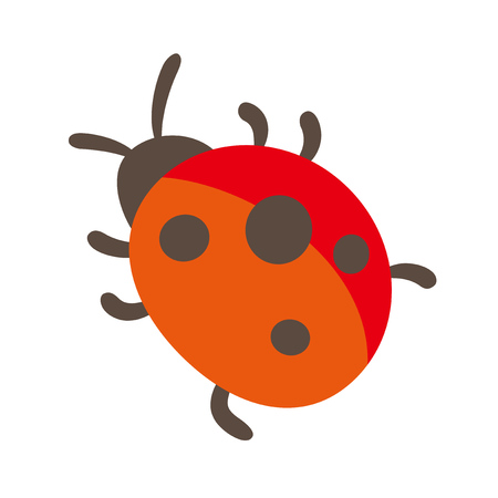 Vector illustration of ladybugのイラスト素材