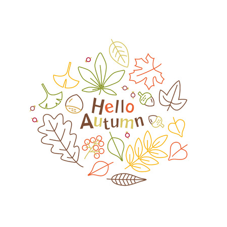 Vector icon set of autumn plantsのイラスト素材