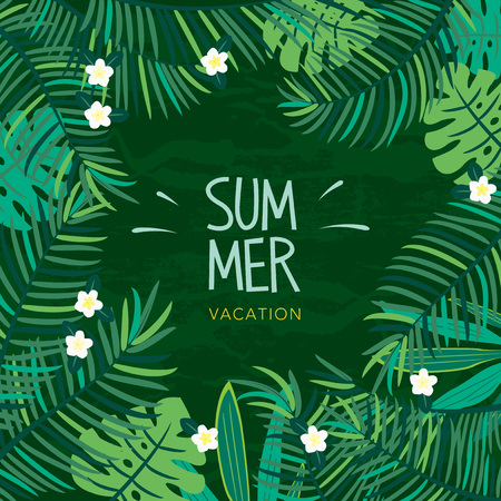 Summer tropical plant illustrationのイラスト素材