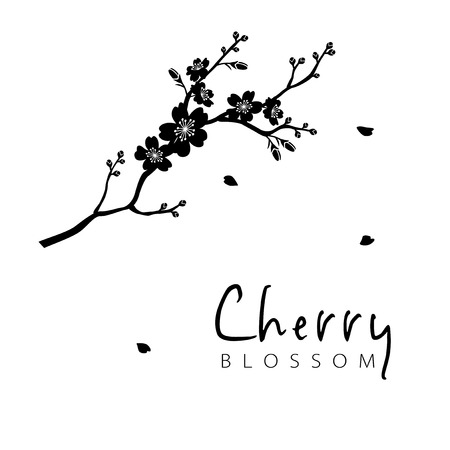 Cherry blossom branch silhouette illustrationのイラスト素材