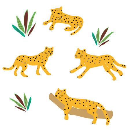 Vector illustration set of cute cheetahのイラスト素材