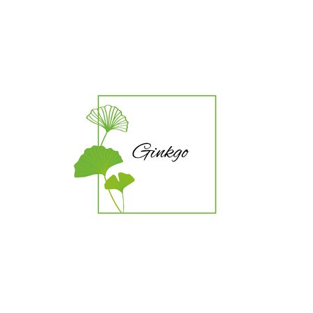 Green ginkgo leaves frame illustrationのイラスト素材