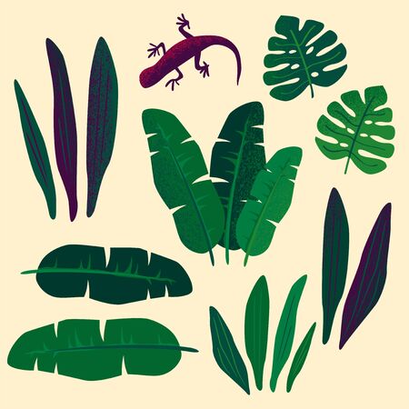 Vector tropical leaves illustration setのイラスト素材