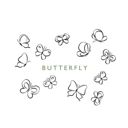 Vector hand drawn butterfly illustration setのイラスト素材