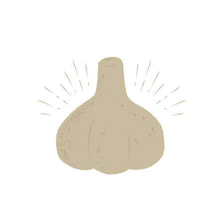 Brown garlic icon on white background, Vector illustrationのイラスト素材