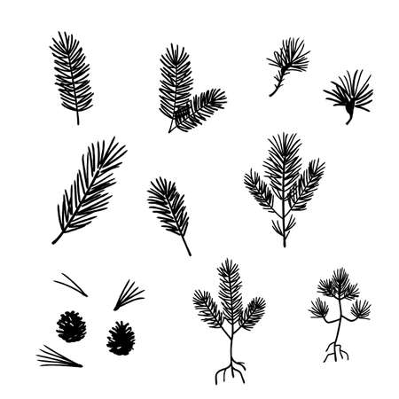 Pine branch silhouette, vector illustration setのイラスト素材