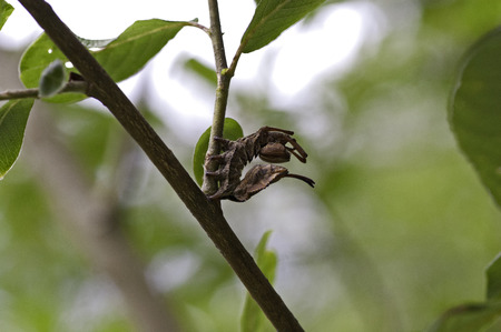 Fear meの写真素材