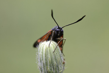 I am lookingの写真素材