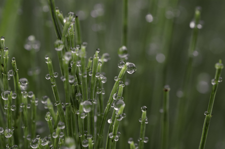 marblesの写真素材