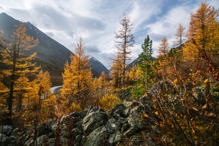 Akkem Valley in Altai Mountains Natural Parkの写真素材