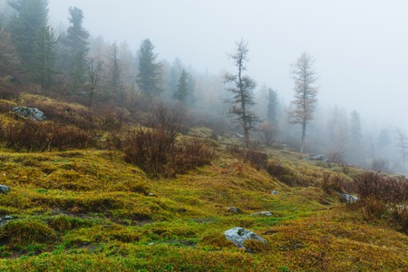 Akkem Valley in Altai Mountains Natural Parkの写真素材