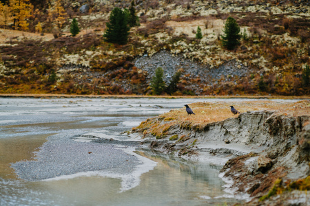 Akkem Valley in Altai Mountains Natural Parkの写真素材