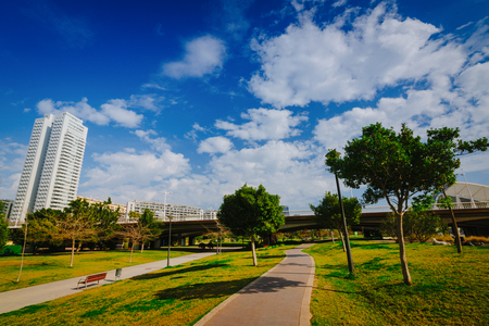 Sunny and warm day in park Turia in Valencia, Spainの写真素材