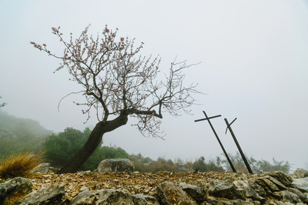 Mystical views of the road in dense fog in the mountains of the Iberian Peninsulaの写真素材